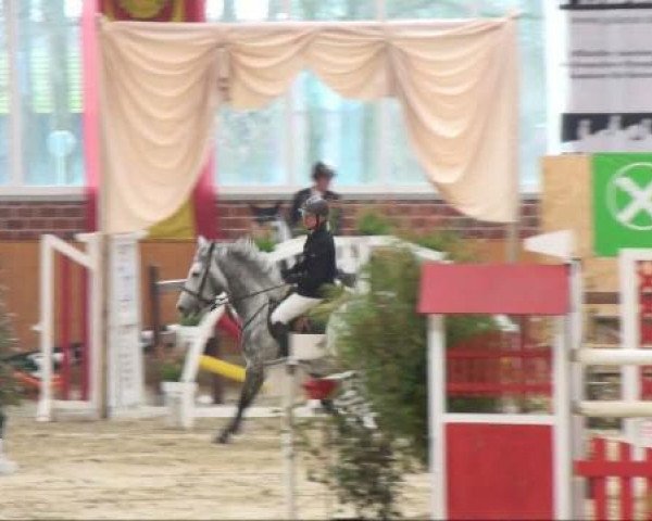 jumper Climax Junior (Westphalian, 2005, from Climax)