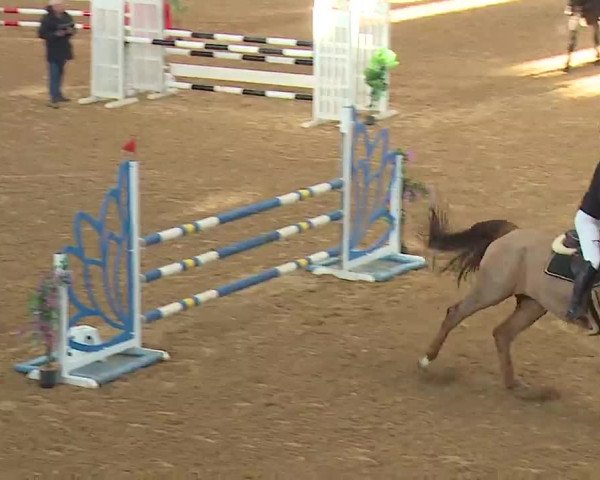 Reitturnier Kreuth 2022
