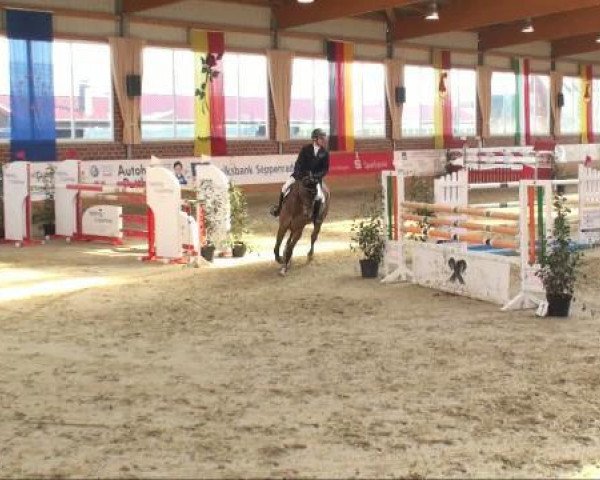 jumper Zuerich 2 (KWPN (Royal Dutch Sporthorse), 2004, from Berlin)