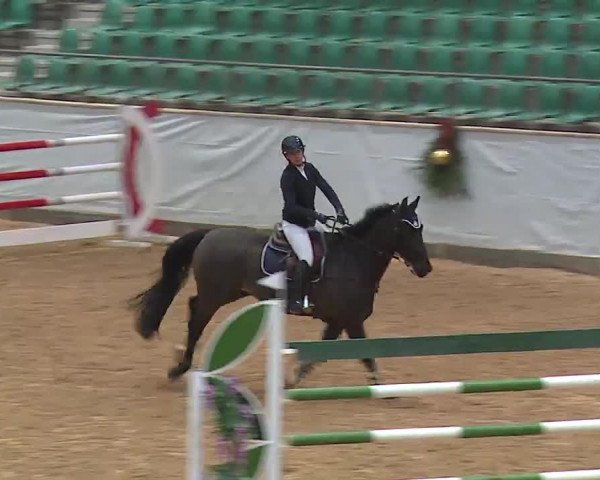 Reitturnier Kreuth 2022