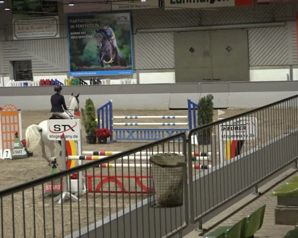 Reitturnier Luhmühlen 2022