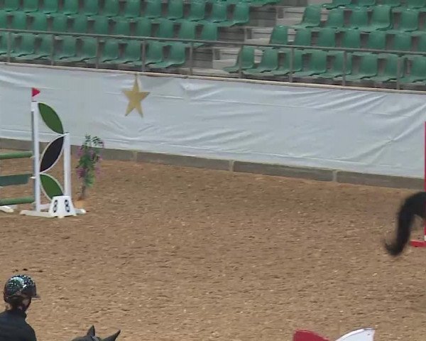 Reitturnier Kreuth 2022