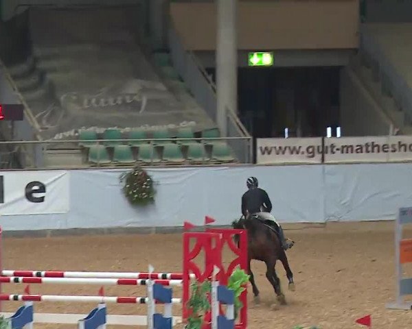 Reitturnier Kreuth 2022