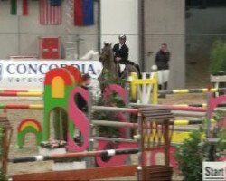 jumper Lundsgardens La Belle (Danish Warmblood, 2001, from Lambrusco Ask)