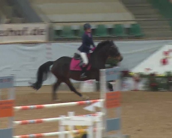 Reitturnier Kreuth 2022