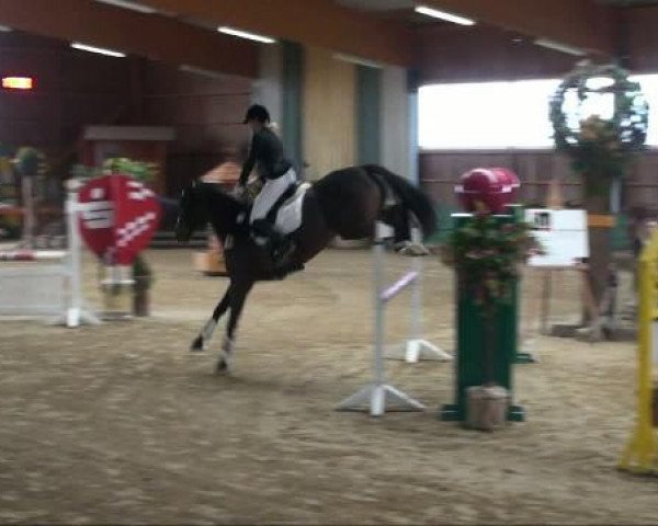 dressage horse Lucky Boy F (Westphalian, 2004, from Laudabilis)