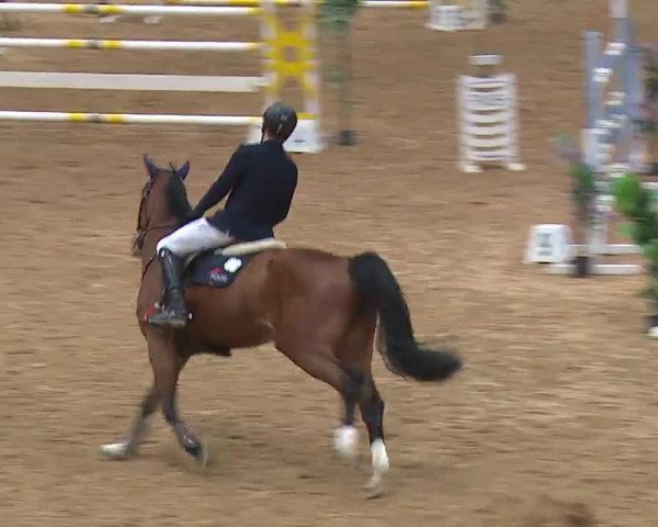 Reitturnier Kreuth 2022