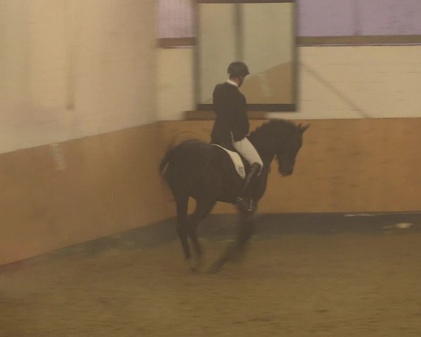 Reitturnier Datteln 2022