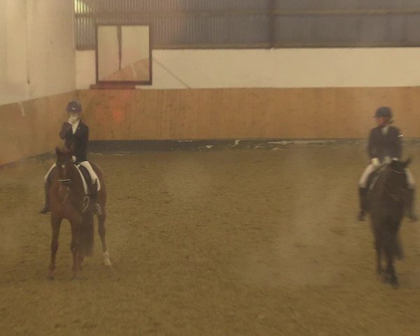 Reitturnier Datteln 2022