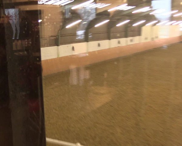Reitturnier Datteln 2022