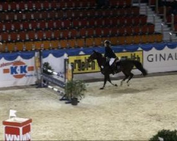 jumper Cara 144 (Westphalian, 2004, from Cassius Clay)