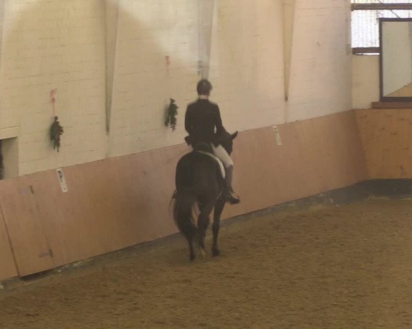Reitturnier Datteln 2022