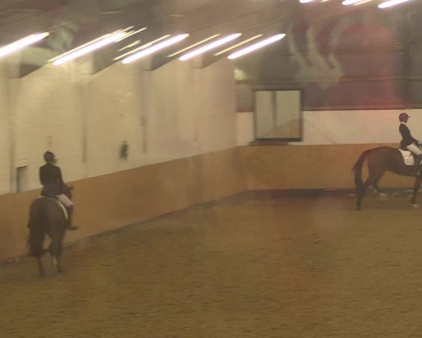 Reitturnier Datteln 2022