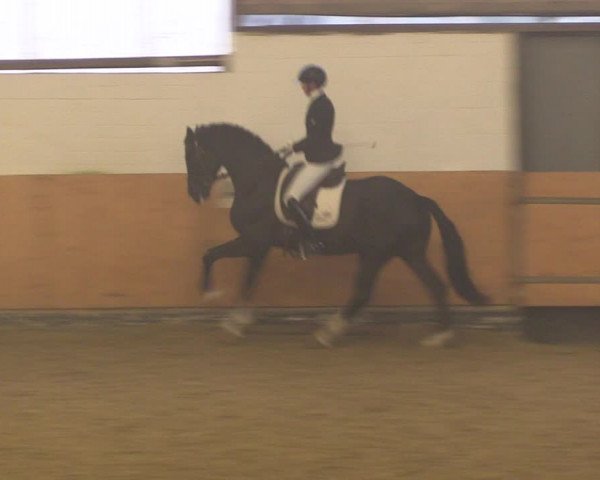Reitturnier Datteln 2022