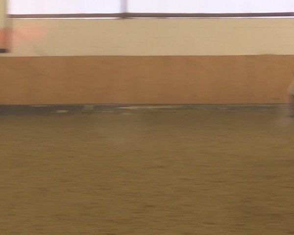 Reitturnier Datteln 2022