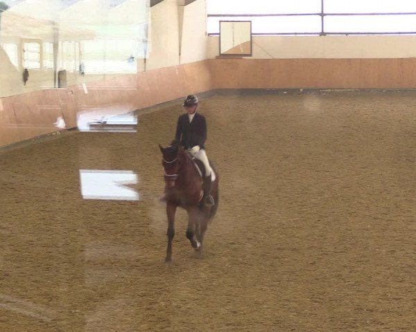 Reitturnier Datteln 2022