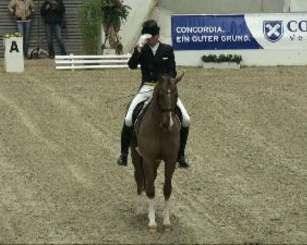 dressage horse Active Private Dancer (KWPN (Royal Dutch Sporthorse), 1997, from Jazz)