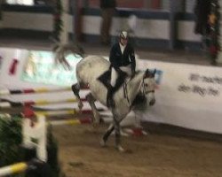 jumper Kiss Ass D'Acheronte (Italian Warmblood, 2004, from Caretino)