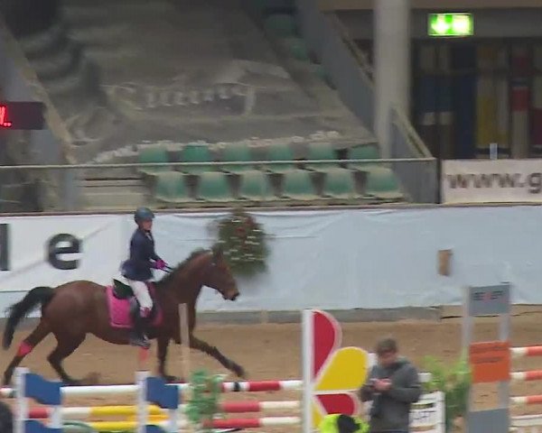 Reitturnier Kreuth 2022