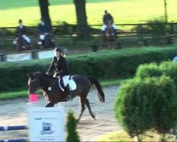 jumper Franziska (Westphalian, 1996, from Federball)