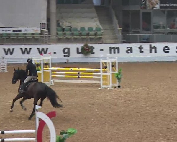 Reitturnier Kreuth 2022