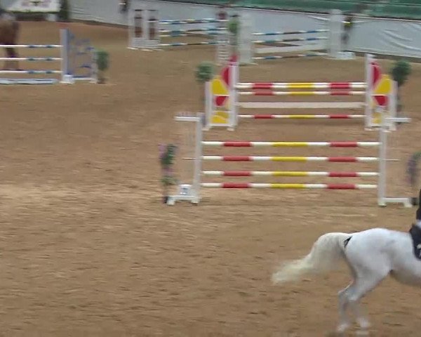 Reitturnier Kreuth 2022