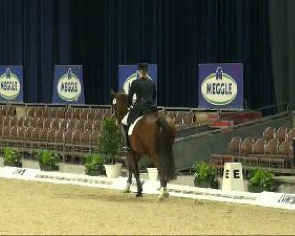 dressage horse Oriano 2 (Westphalian, 2001, from Obsession)