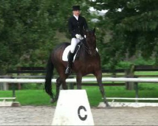 dressage horse Scapa Flow 7 (Westphalian, 1999, from Sir Schölling)