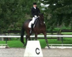 dressage horse Scapa Flow 7 (Westphalian, 1999, from Sir Schölling)