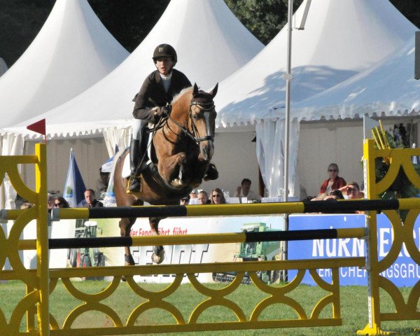 jumper Douglas Junior (German Riding Pony, 1999, from Douglas)