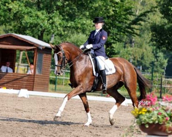 dressage horse Lisa La Rouge (Westphalian, 2003, from Lissabon 29)