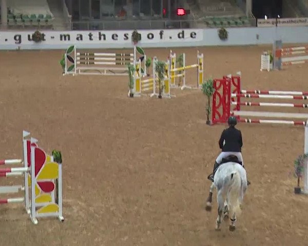 Reitturnier Kreuth 2022