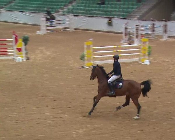 Reitturnier Kreuth 2022
