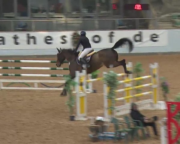 Reitturnier Kreuth 2022