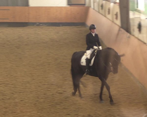 Reitturnier Datteln 2022