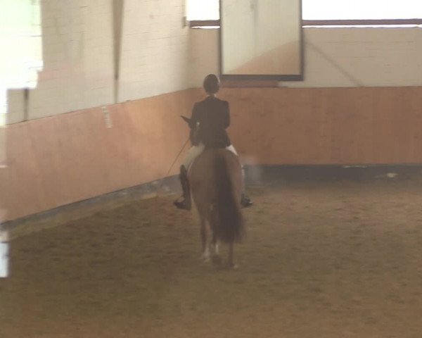 Reitturnier Datteln 2022