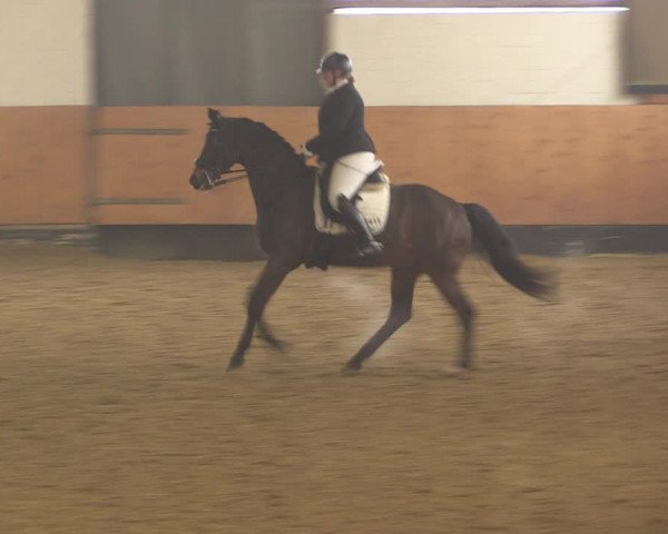 Reitturnier Datteln 2022