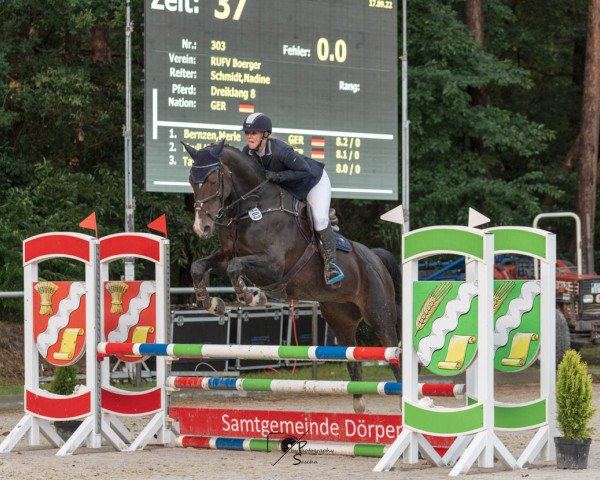 dressage horse Dreiklang 8 (Hanoverian, 2011, from Decamerone 5)