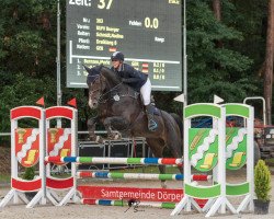 dressage horse Dreiklang 8 (Hanoverian, 2011, from Decamerone 5)