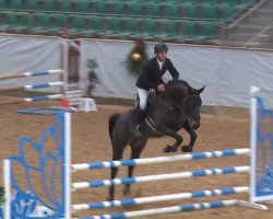 jumper Go Little Rockstar D (Westphalian, 2017, from Berlin)