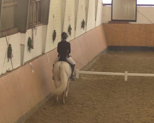 Reitturnier Datteln 2022