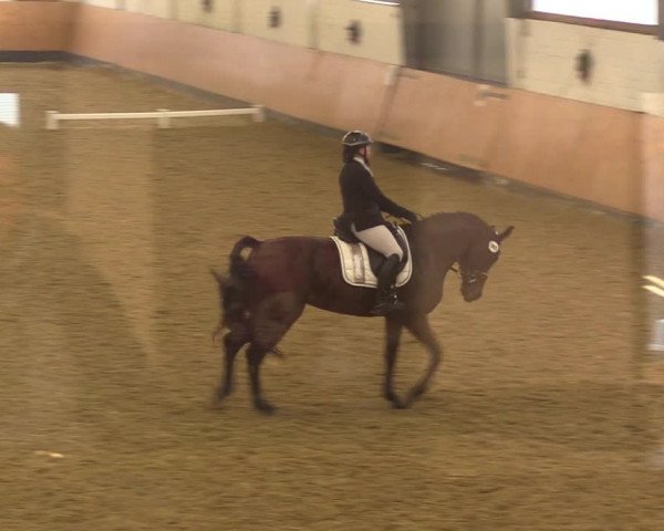 Reitturnier Datteln 2022