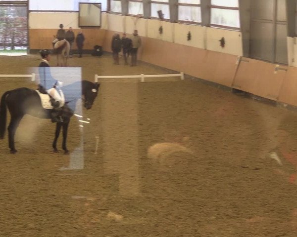 Reitturnier Datteln 2022