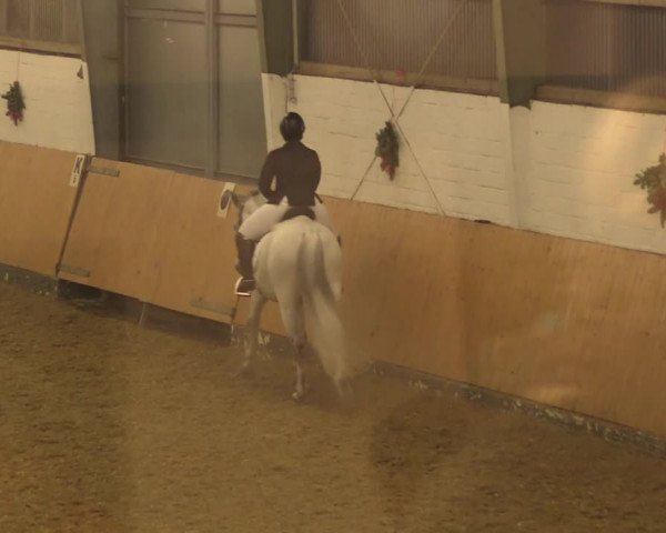 Reitturnier Datteln 2022