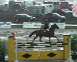 Caballo de salto Zephir (Hannoveriano, 2002, de Zacharias)
