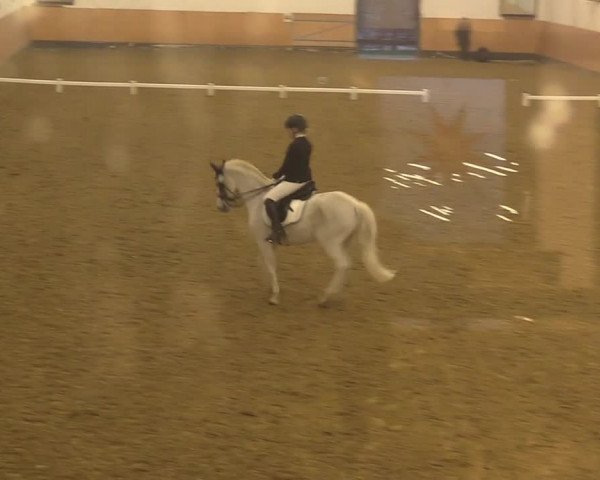 Reitturnier Datteln 2022