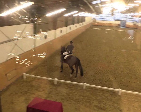Reitturnier Datteln 2022