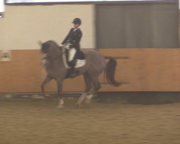 Reitturnier Datteln 2022