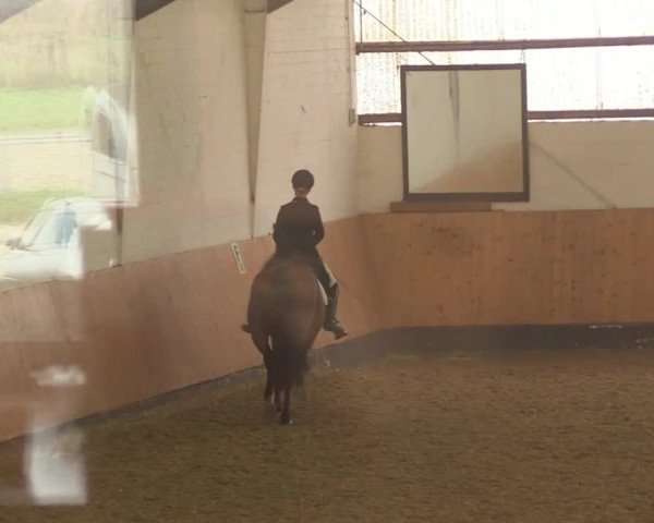 Reitturnier Datteln 2022