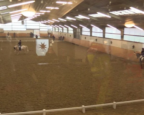 Reitturnier Datteln 2022